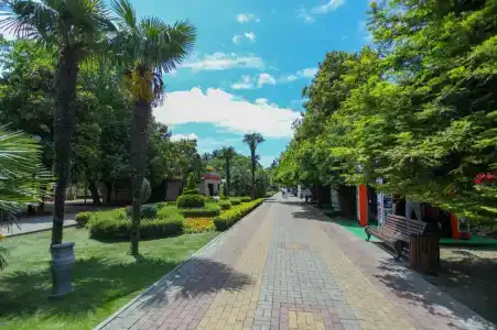 Элизабет - 37