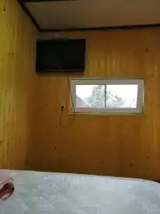 Тюльпан - 6