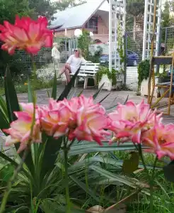 Дом друзей - 10