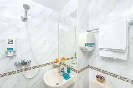 81 Orchid - SG Clean - 19