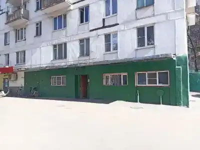 Авокадо на Смольной - 14