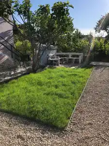 FeegTree - 3