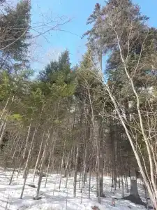 Горячий ключ - 74