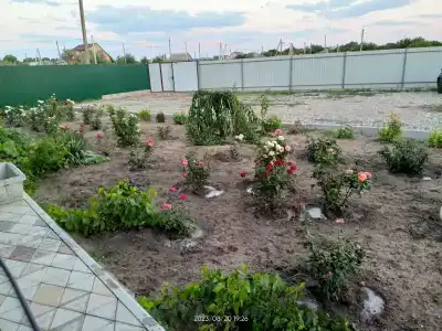 Астра - 19