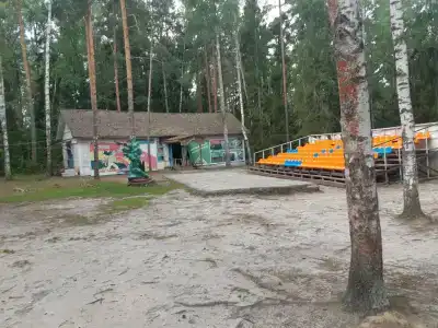 Сосновый бор - 8