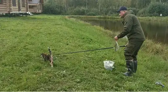 Рыбацкий Двор - 4