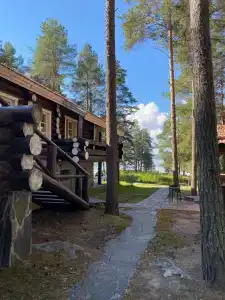 Карнавал - 78