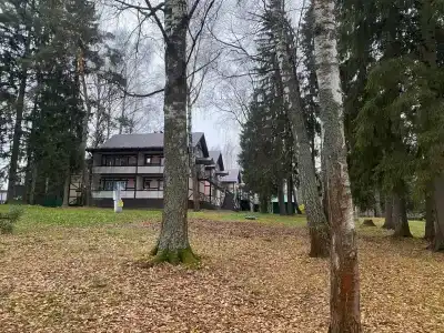 Губкинец - 40