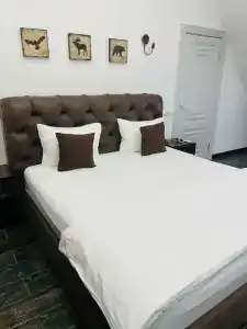 FreeDOM Premium - 58