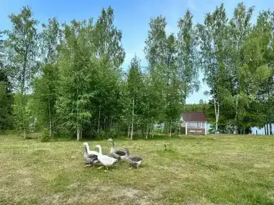 Хутор Еговик - 22