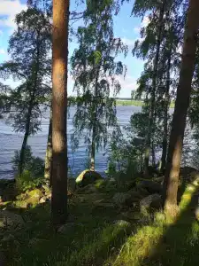 Вуокса парк - 5