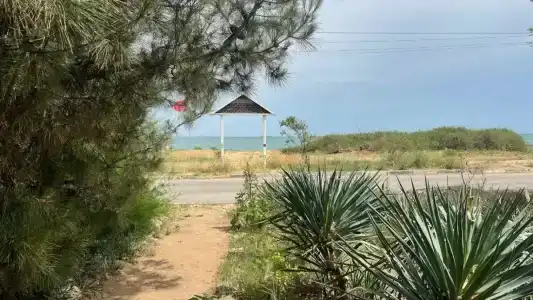 КристОля - 25