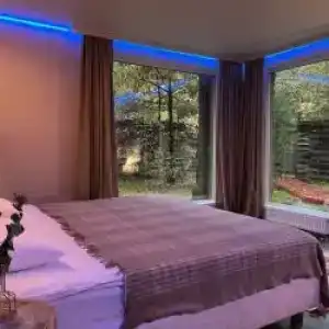 Гуси-Лебеди - 57