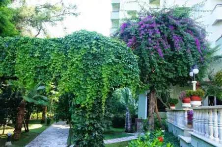 Armas Kaplan Paradise - 8