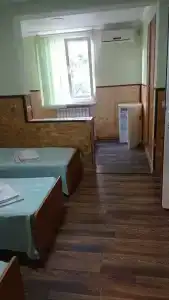 Ника - 5