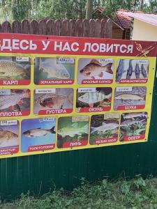 Березовый рай - 29