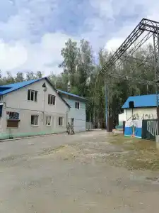 Берёзка - 5