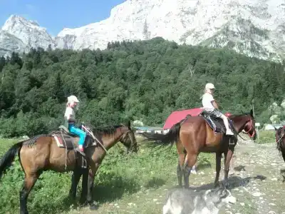 Фишт - 24