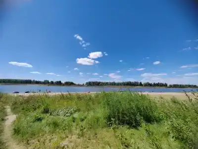 Лес и Рыба - 9