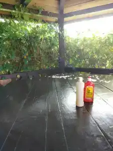 Солнышко - 35