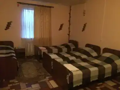 Фламинго - 53