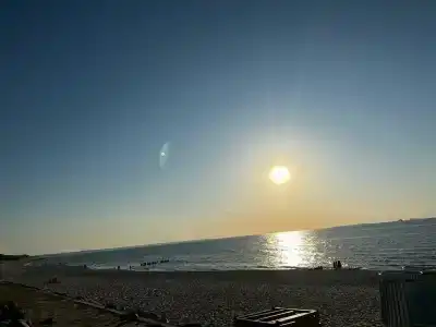 Белый лотос - 38