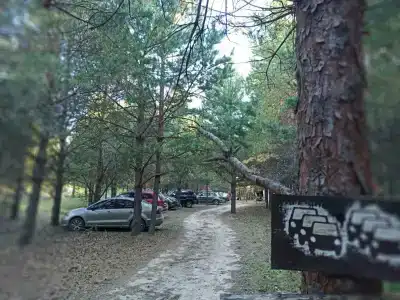 Пчелинцево - 40