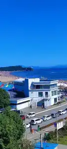 Звезда моря - 69