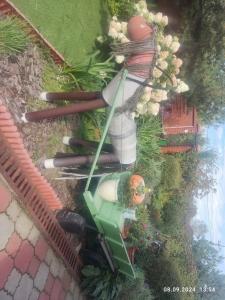 Сокольники - 22