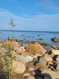 Кандикюля - 48