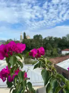 Зеленый цветок - 2