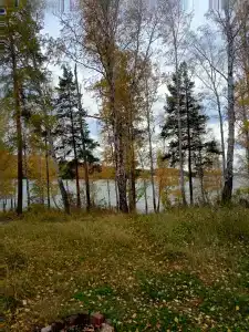 Медвежий камень - 29