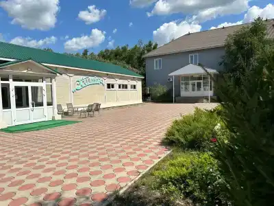 Эдельвейс - 29