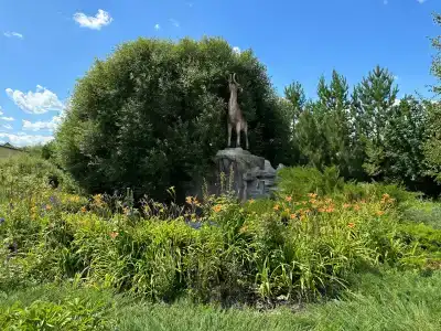 Эдельвейс - 43