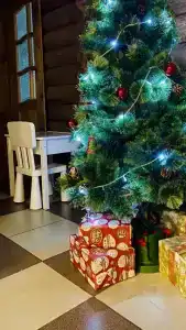 Северное Сияние - 7