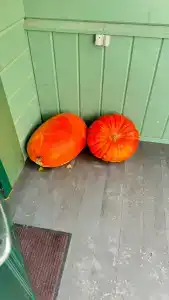 Сирин дом - 85