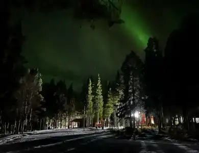 Кедр Грасс Белое Море - 27