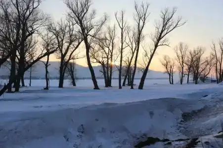 Бережок - 23