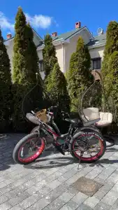 Куршская коса - 18
