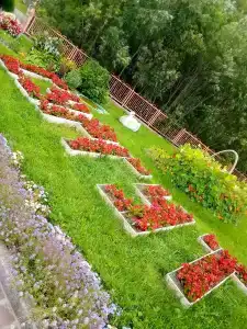 Кедровый Лог - 24