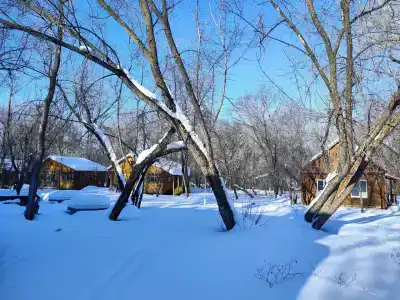 Мелиоратор - 20