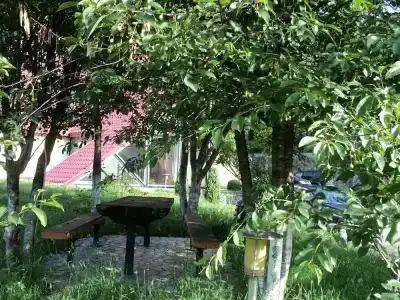 EcoRest - Likani Palace - 16