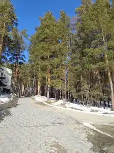 Аленушка - 77
