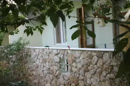 Ayris Çıralı - 17