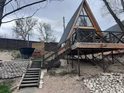 Богатый лес - 23