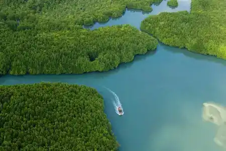 Sylvan Koh Chang - 6