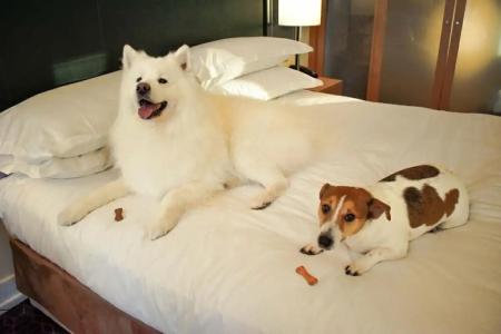 Hilton Dublin Kilmainham - 16