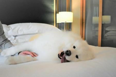 Hilton Dublin Kilmainham - 80