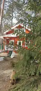 Бунырвилль - 89