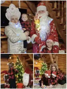 Сосновые дома - 6